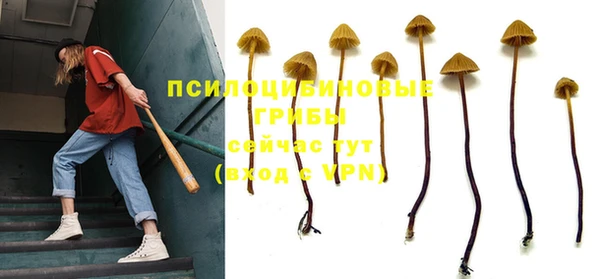спиды Алексин