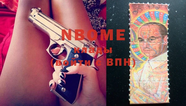 хмурый Алзамай