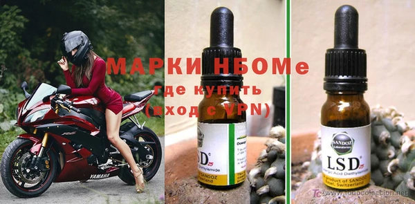 хмурый Алзамай