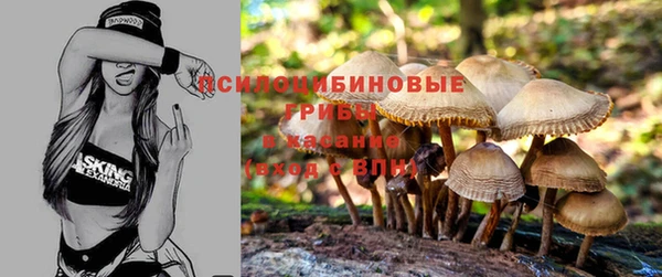 спиды Алексин