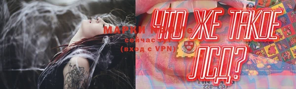 хмурый Алзамай