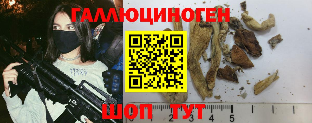 Галлюциногенные грибы прущие грибы  Вход с VPN  Родники  Псилоцибиновые грибы Psilocybine cubensis 